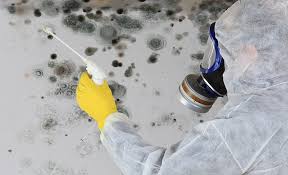 What is Mold Spray?