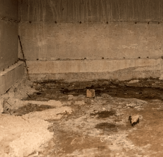 Best Basement Mold Control