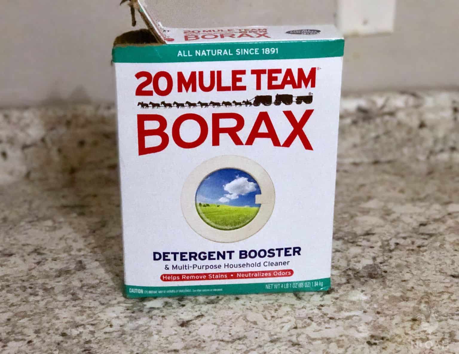 How Does Borax Kill Mold?